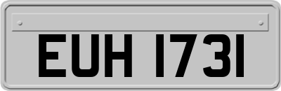 EUH1731