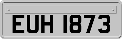 EUH1873