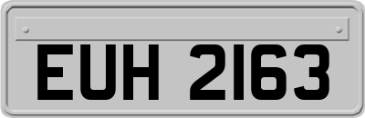 EUH2163