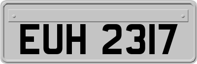 EUH2317