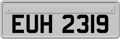 EUH2319