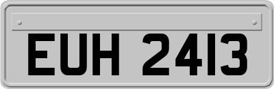 EUH2413