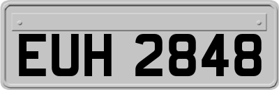 EUH2848