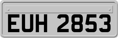 EUH2853