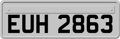 EUH2863
