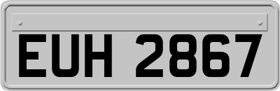 EUH2867