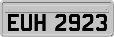 EUH2923