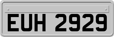 EUH2929