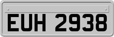 EUH2938