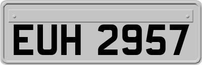 EUH2957