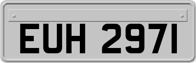 EUH2971