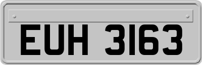 EUH3163