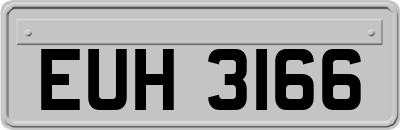 EUH3166