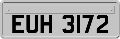 EUH3172
