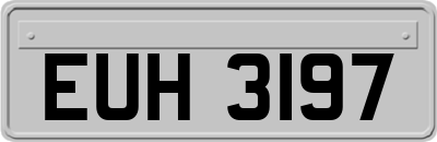 EUH3197