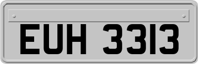 EUH3313