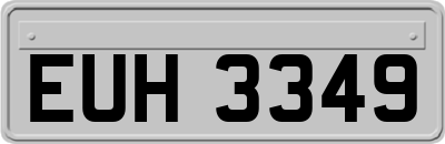 EUH3349