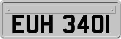 EUH3401