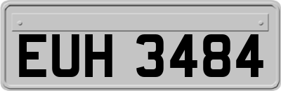 EUH3484