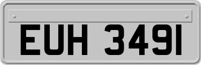 EUH3491