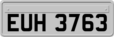 EUH3763