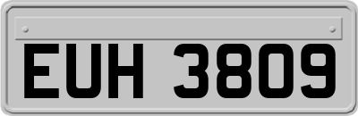 EUH3809