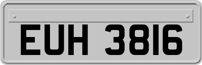 EUH3816