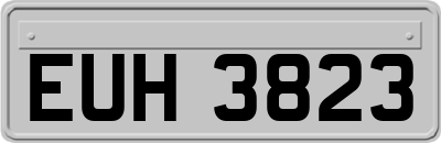 EUH3823