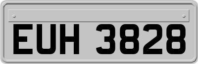 EUH3828