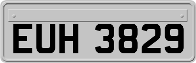 EUH3829