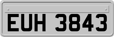 EUH3843