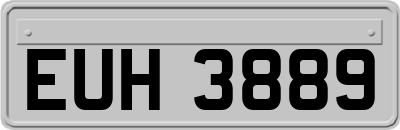 EUH3889