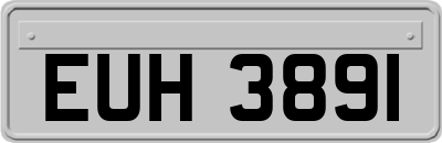 EUH3891