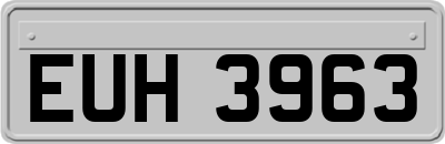 EUH3963