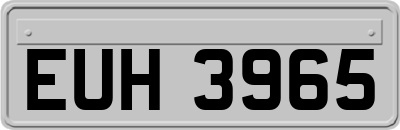 EUH3965