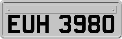 EUH3980