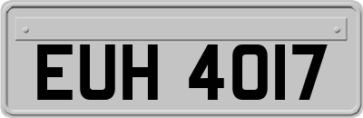 EUH4017
