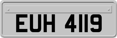 EUH4119