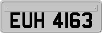 EUH4163