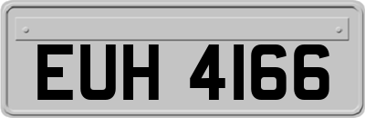 EUH4166