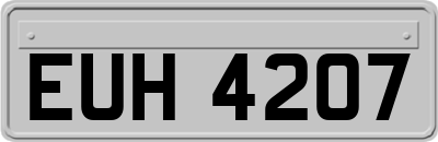 EUH4207