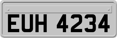 EUH4234