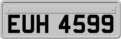 EUH4599