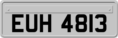 EUH4813