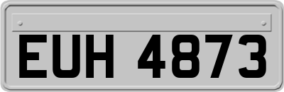 EUH4873
