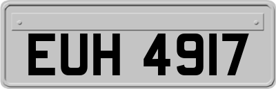 EUH4917