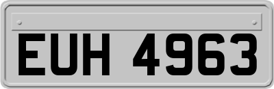 EUH4963
