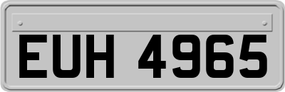 EUH4965