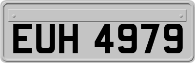 EUH4979
