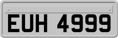 EUH4999